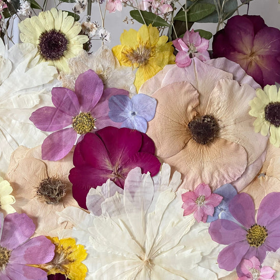 Wo Farbe ist, ist Leben