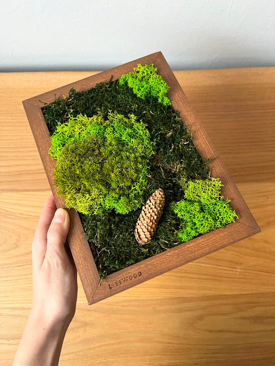 Wo die Waldelfen leben