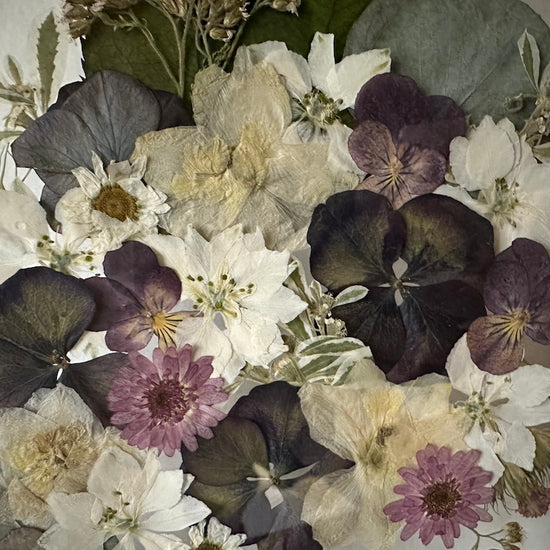 In Geheimnisse gehüllt