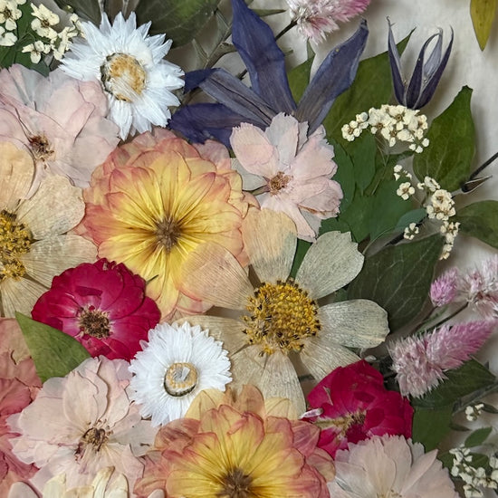 Wo Farbe ist, ist Leben