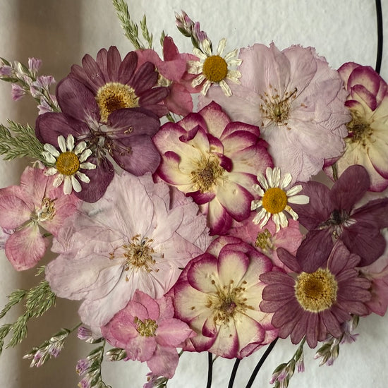 Hund im Frühlingsmantel