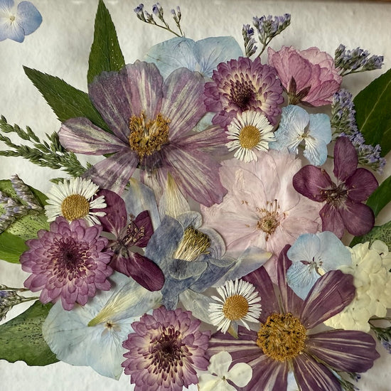 Hund im Frühlingsmantel