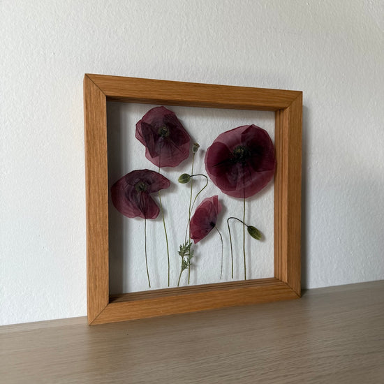 Wiesenblume