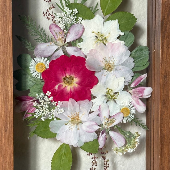 Drama geheimnisvoller Blumen