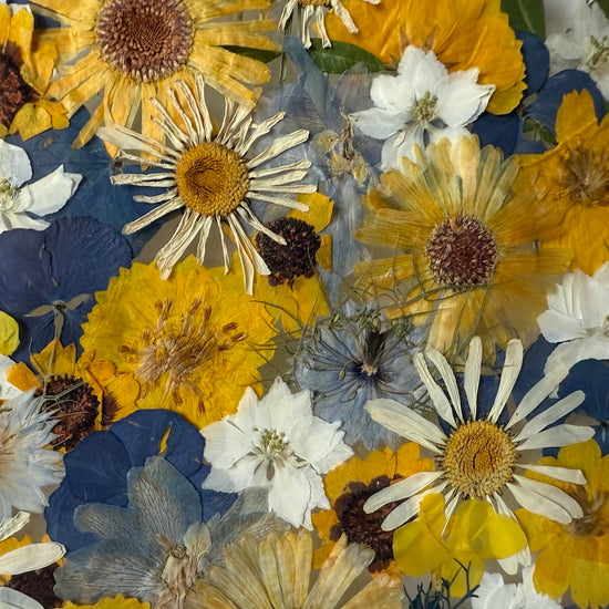 Blaues Königreich