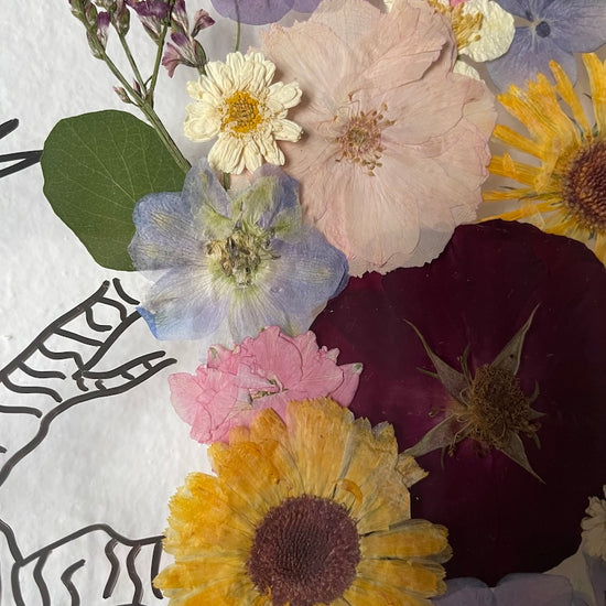 Baobabs in der Obhut des Kleinen Prinzen