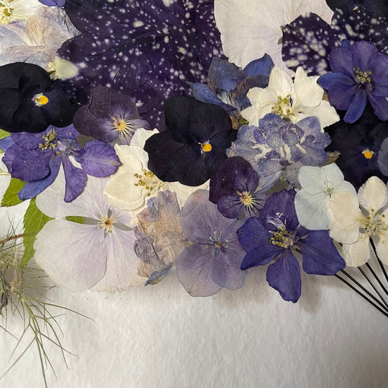 Ich muss zwei oder drei Raupen ertragen, wenn ich Schmetterlinge kennenlernen will.