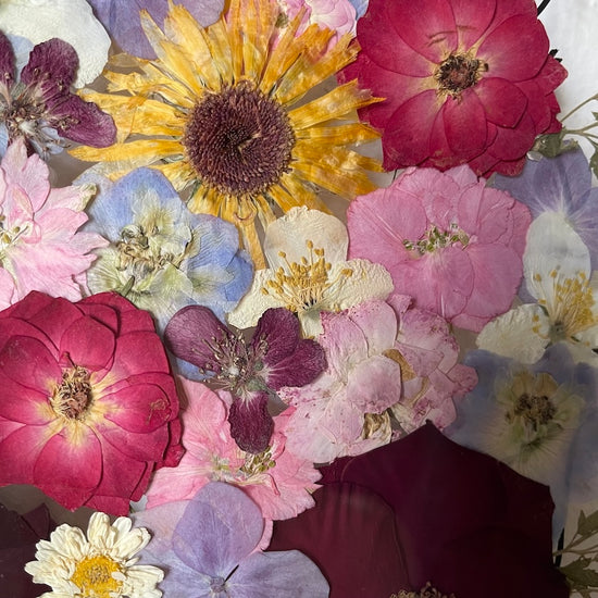 Ich muss zwei oder drei Raupen ertragen, wenn ich Schmetterlinge kennenlernen will.