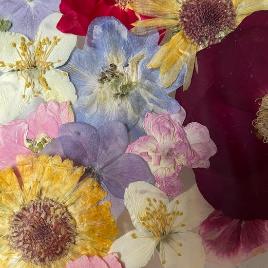 Sie blühten mit Liebe