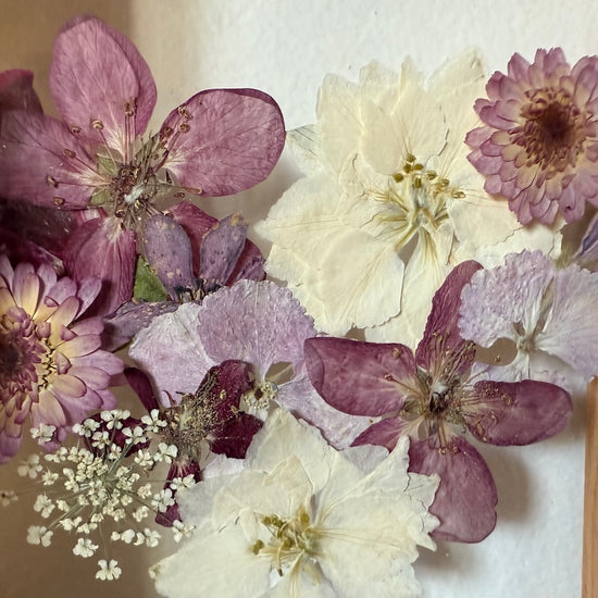 Blühen unter dem Schnee