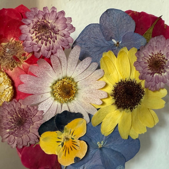 Blühen unter dem Schnee