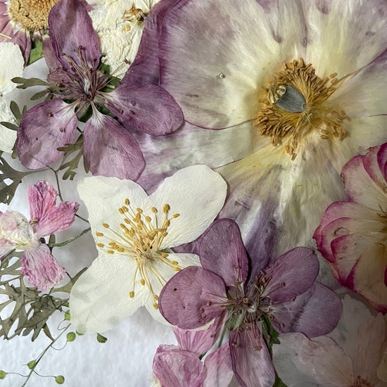 Nachtgarten der Träume