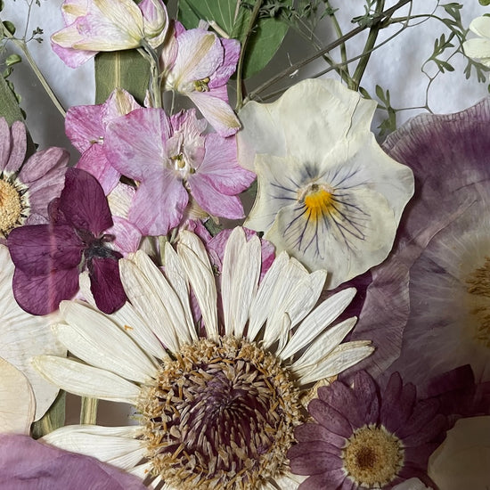 Nachtgarten der Träume