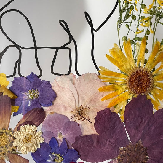 Hund im Frühlingsmantel