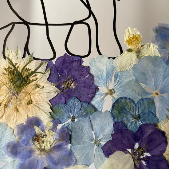 Hund im Frühlingsmantel