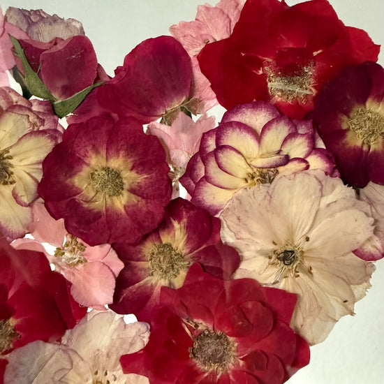 Frieden für meine Seele