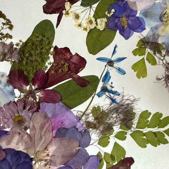 Tanzen auf der Wasseroberfläche