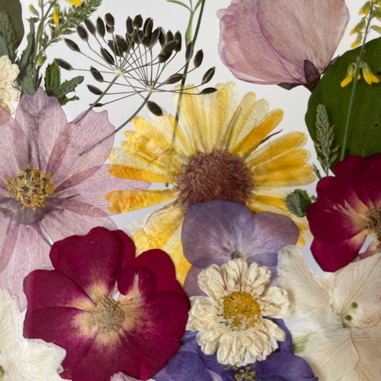 Blumige Vergänglichkeit