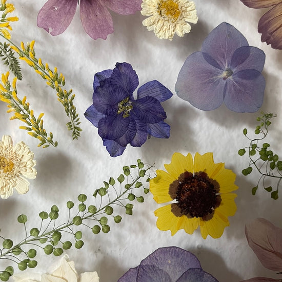 Nachtgarten der Träume