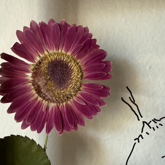 „Bitte, zähme mich!“ sagte der Fuchs