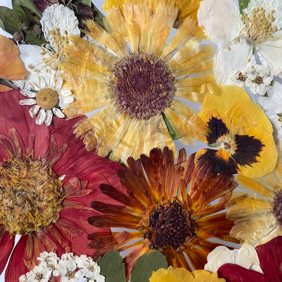 Nachtgarten der Träume