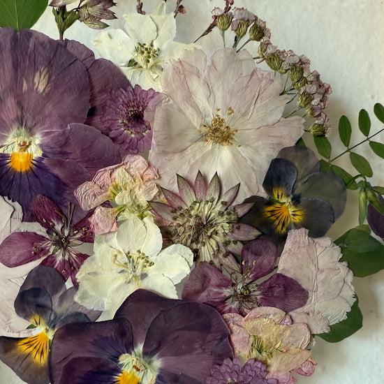 Wiesengöttin der Schönheit