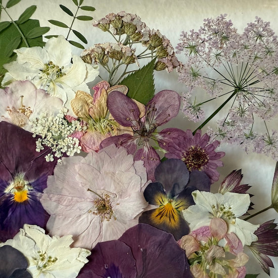 Wiesengöttin der Schönheit