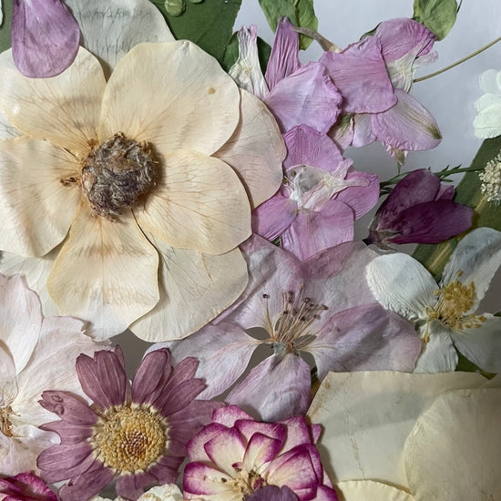 Wo Farbe ist, ist Leben