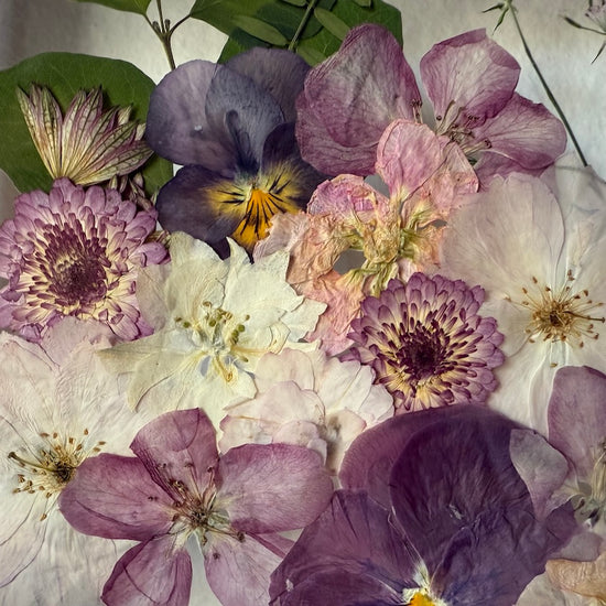 Wiesengöttin der Schönheit