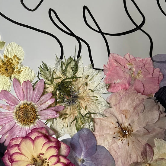 Hund im Frühlingsmantel