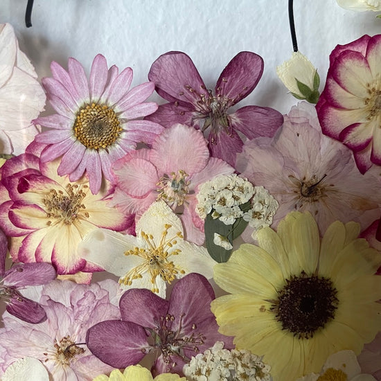 Hund im Frühlingsmantel