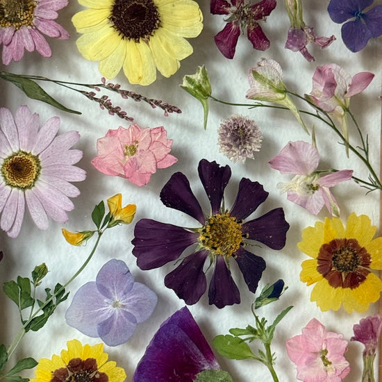 Tanzen auf der Wasseroberfläche