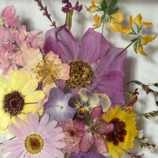 Tanzen auf der Wasseroberfläche