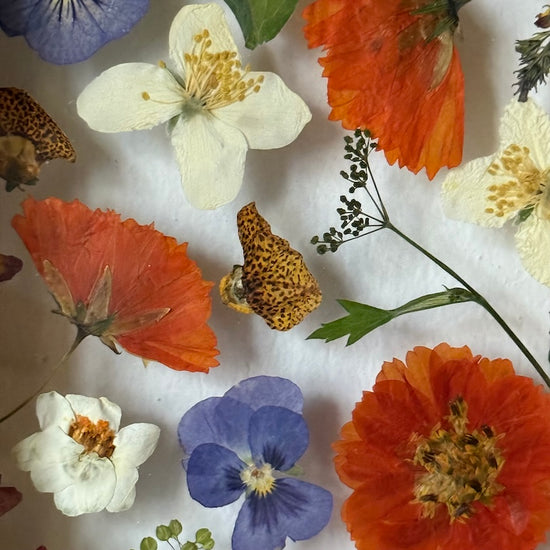 Blumige Vergänglichkeit