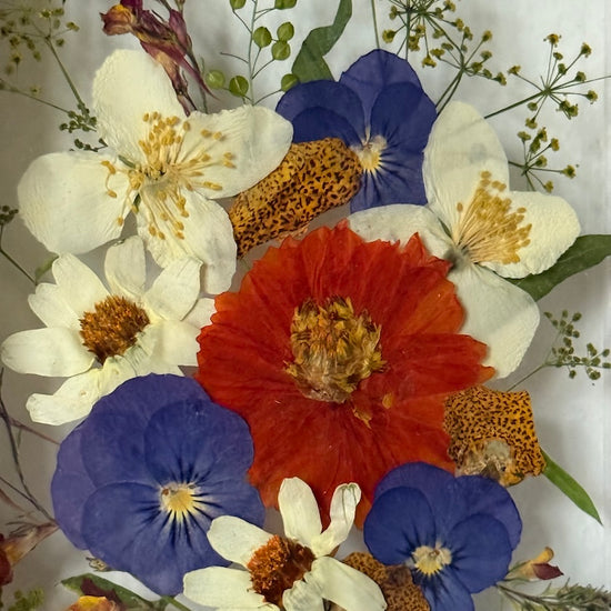 Blumige Vergänglichkeit