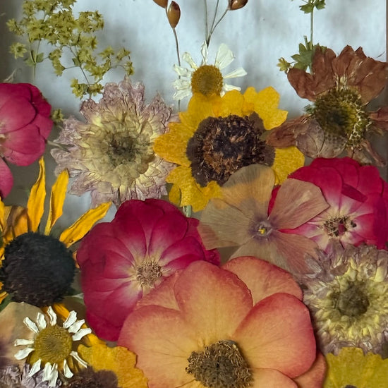 Blumige Vergänglichkeit