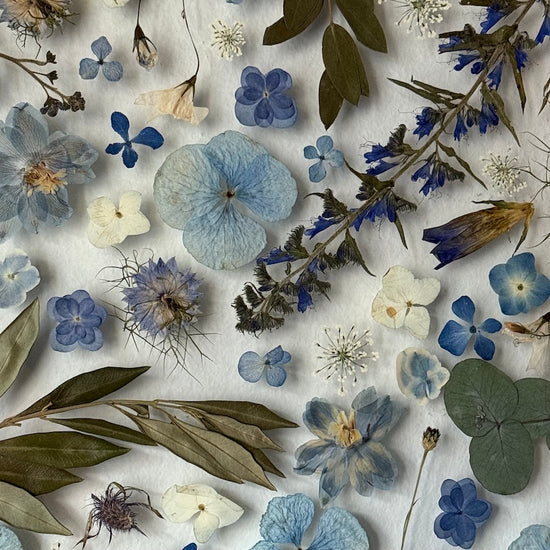 Für Blauliebhaber 🩵