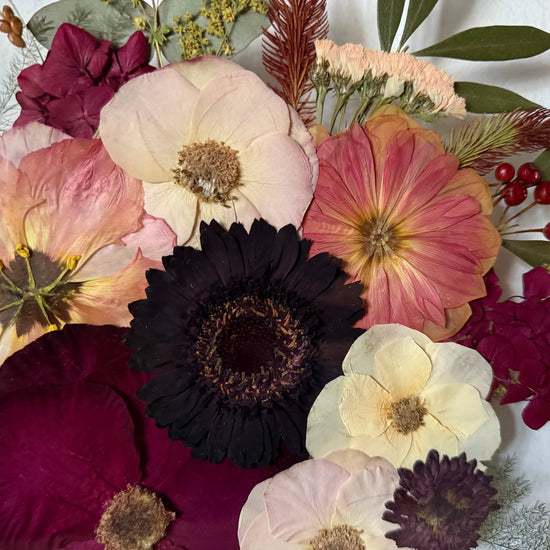 Nachtgarten der Träume