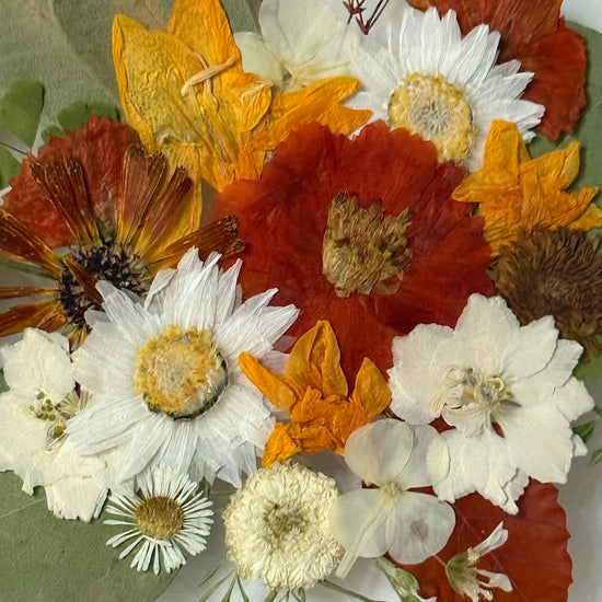 Tanzen auf der Wasseroberfläche