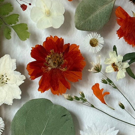 Tanzen auf der Wasseroberfläche