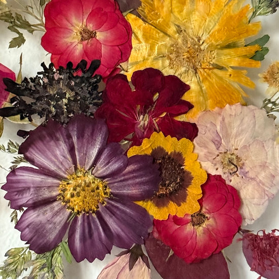 Tanzen auf der Wasseroberfläche