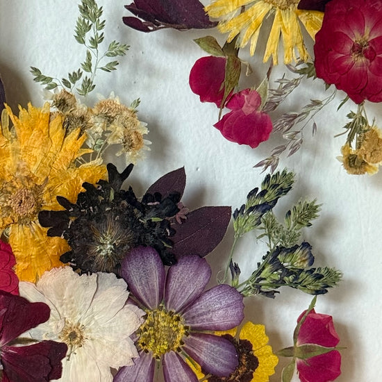 Tanzen auf der Wasseroberfläche