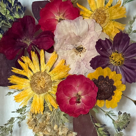 Tanzen auf der Wasseroberfläche