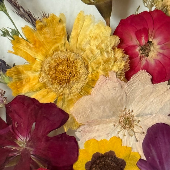 Tanzen auf der Wasseroberfläche