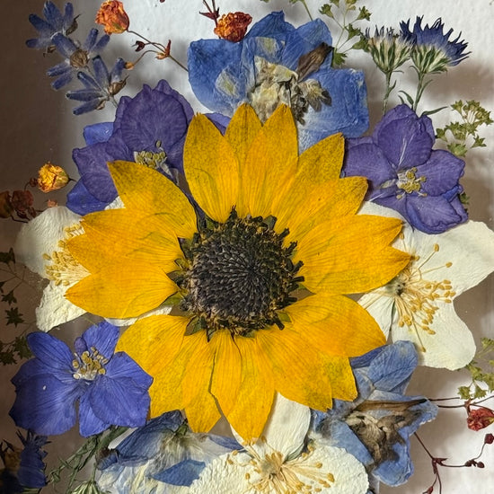 Blumige Vergänglichkeit