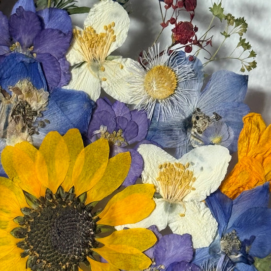 Blumige Vergänglichkeit