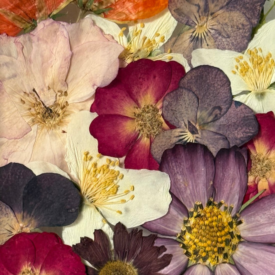 Blumige Vergänglichkeit