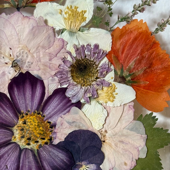 Blumige Vergänglichkeit