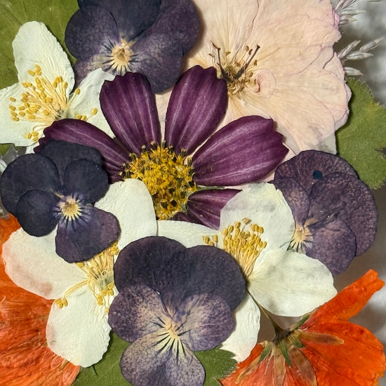 Blumige Vergänglichkeit