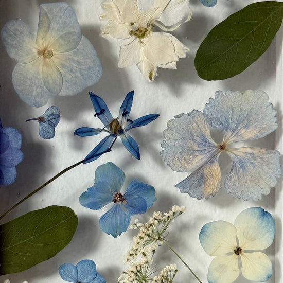 Drama geheimnisvoller Blumen